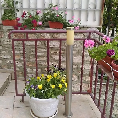 Krisi Guest house *