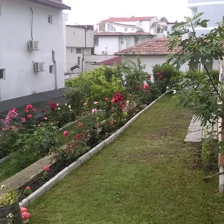 Krisi * Balchik